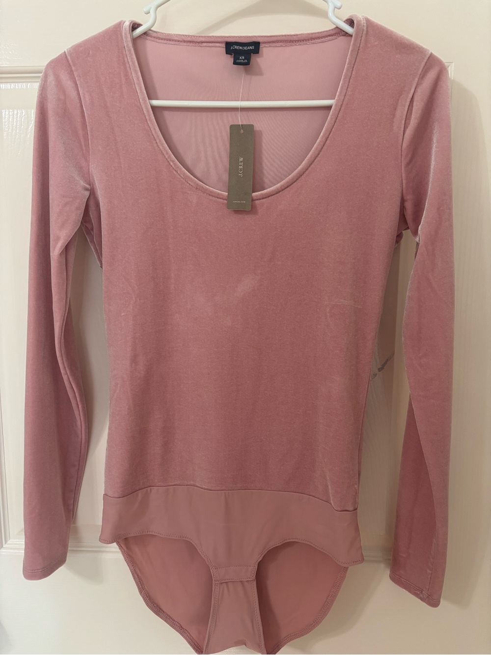 J. Crew Dusty Rose Long Sleeve Velvet Bodysuit